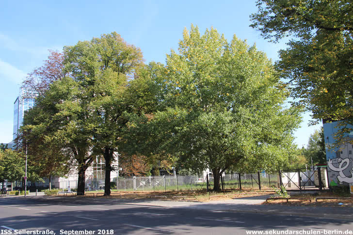 Brache an der Sellerstraße 30 (September 2018)